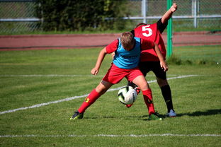 ky体育-青训课程是否覆盖球员公共形象管理内容，青训概念