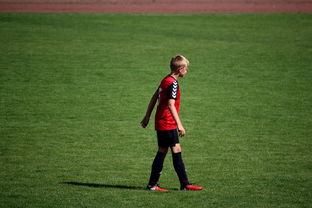 ky体育-青训课程是否覆盖球员公共形象管理内容，青训概念