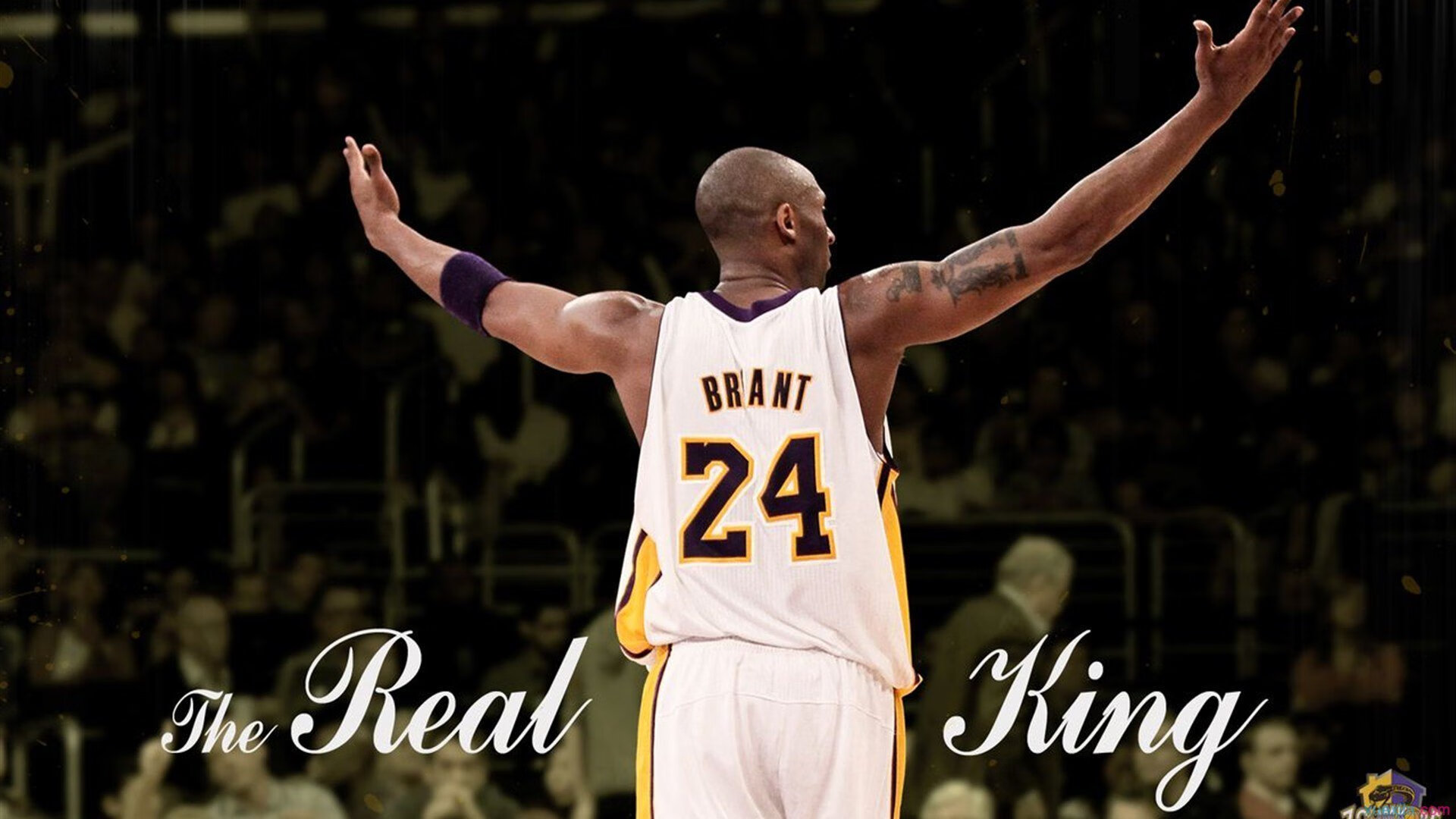 世界冠军直播带货翻车！当场忘词卡壳