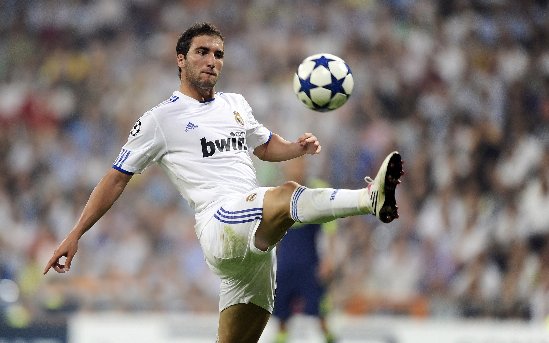 开云体育全站-伊布酒吧合影引粉丝疯狂，老将魅力不减当年